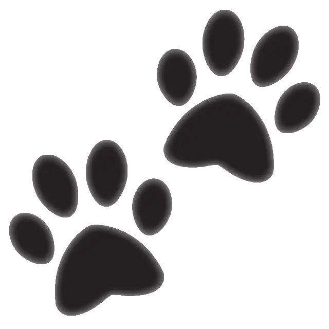 Paw Prints