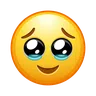 Face Holding Back Tears