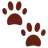 Paw Prints