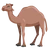 Dromedary Deve