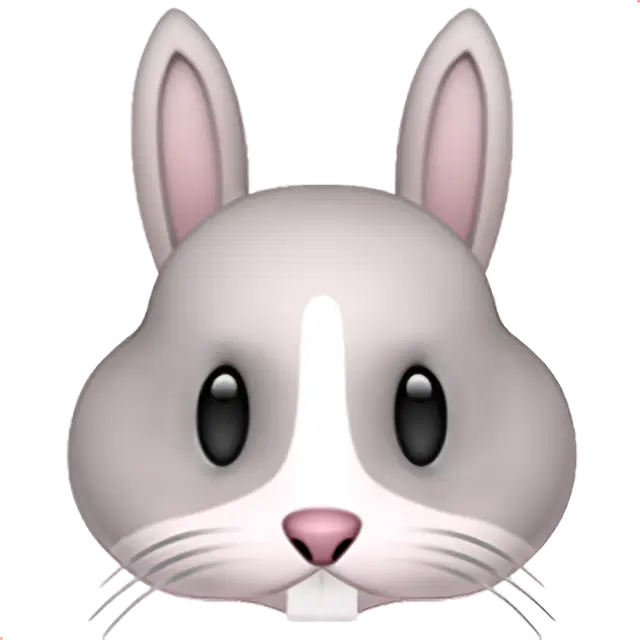 Cara de conejo