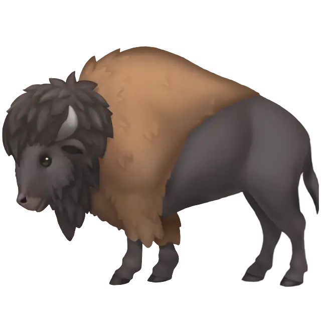 Bison