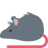 Rat