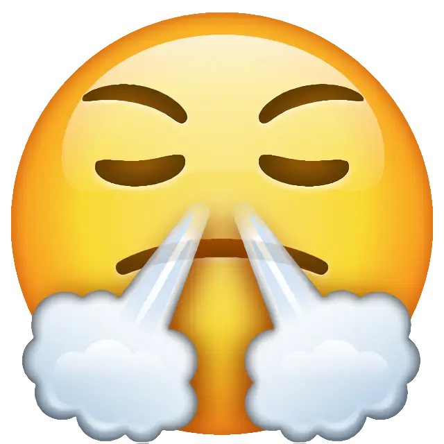 Face With Steam From Nose