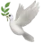 和平之鸽