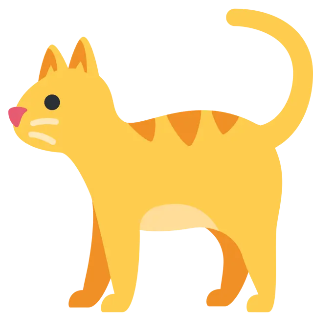 Kot