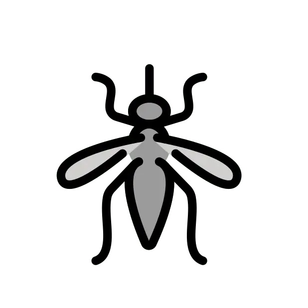 Mosquito