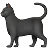 Black Cat