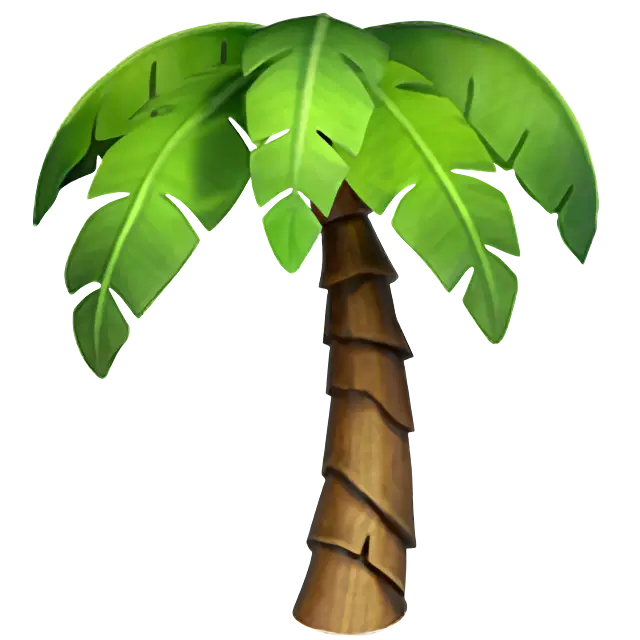 Palm Tree