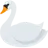 Swan
