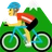 Mountain Bicyclist