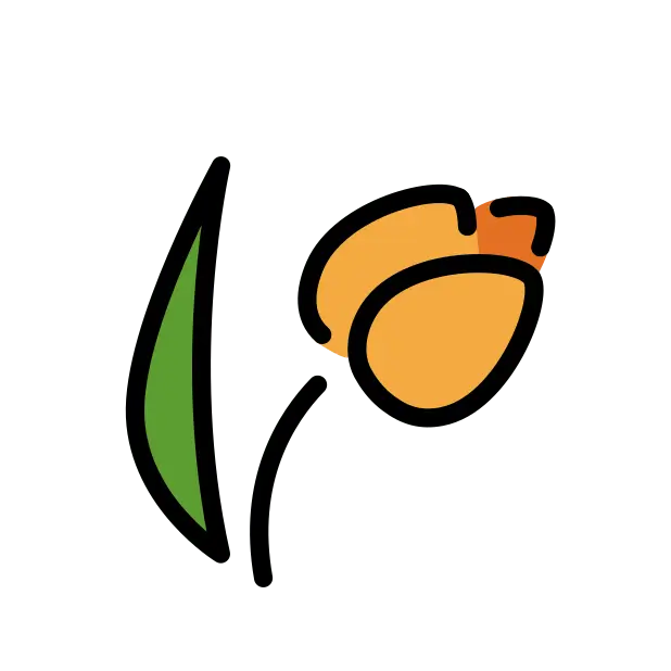 Tulip