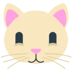 Cat Face