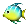 Tropical Fish