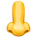 鼻子