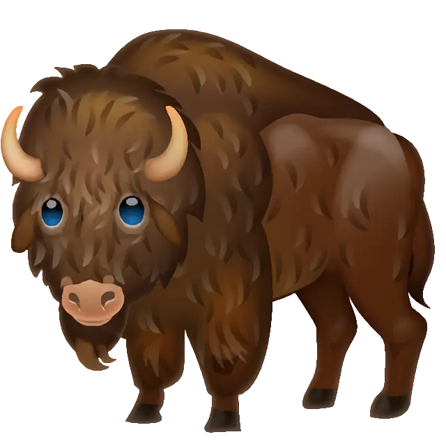Bison