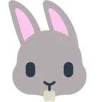 Cara de conejo