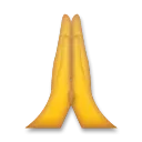 Folded Hands