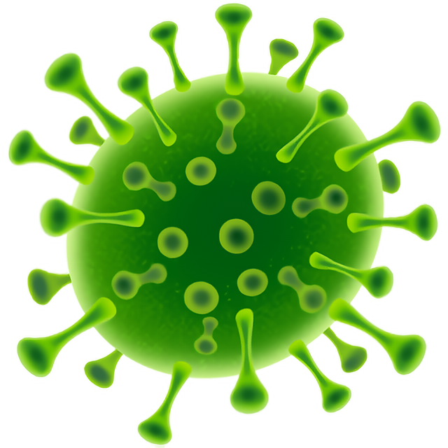 Coronavirus