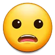Frowning Face With Open Mouth