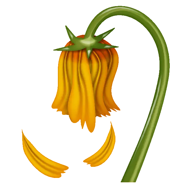 Wilted Flower