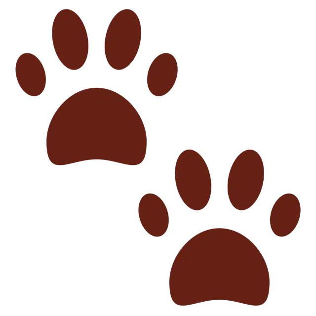 Paw Prints