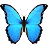 Pluskwa