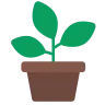 Potted Plant Emoji 🪴 image - Tossface style
