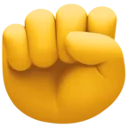 Poing levé