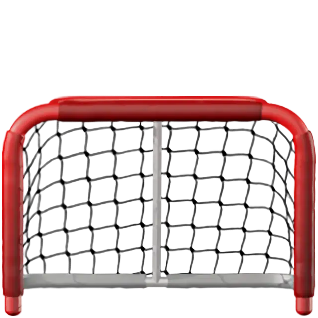 Goal Net