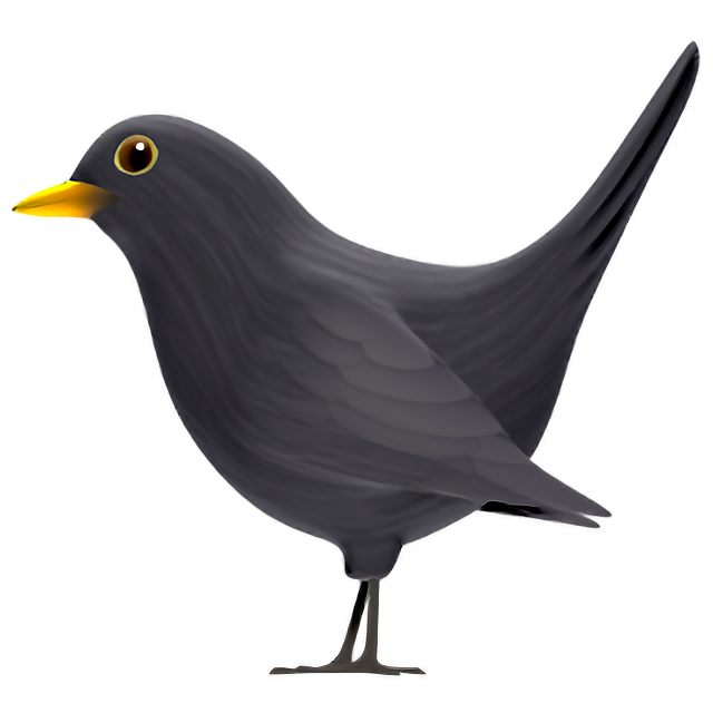 Black Bird