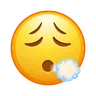 Face Exhaling Emoji 😮‍💨 image - Telegram style