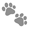Paw Prints