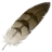 羽毛