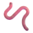 Worm