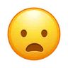 Frowning Face With Open Mouth