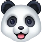 ใบหน้าหมีแพนด้า