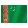 Flag: Turkmenistan Emoji 🇹🇲 image - Huawei Harmony OS style