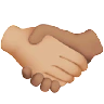 Handshake: Medium-Light Skin Tone, Medium Skin Tone Emoji 🫱🏼‍🫲🏽 image - Apple style
