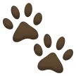 Paw Prints