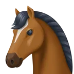 Horse Face