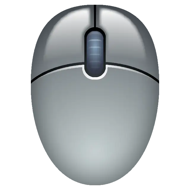 Computer Mouse