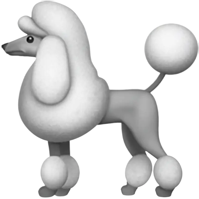 贵宾犬