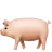돼지