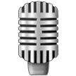Studio Microphone