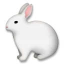 토끼