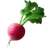 根菜