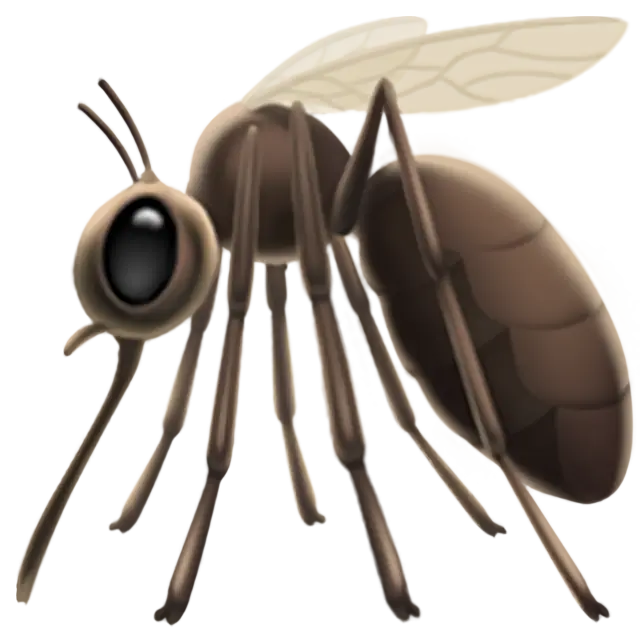 Mosquito