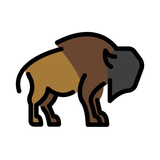 Bison