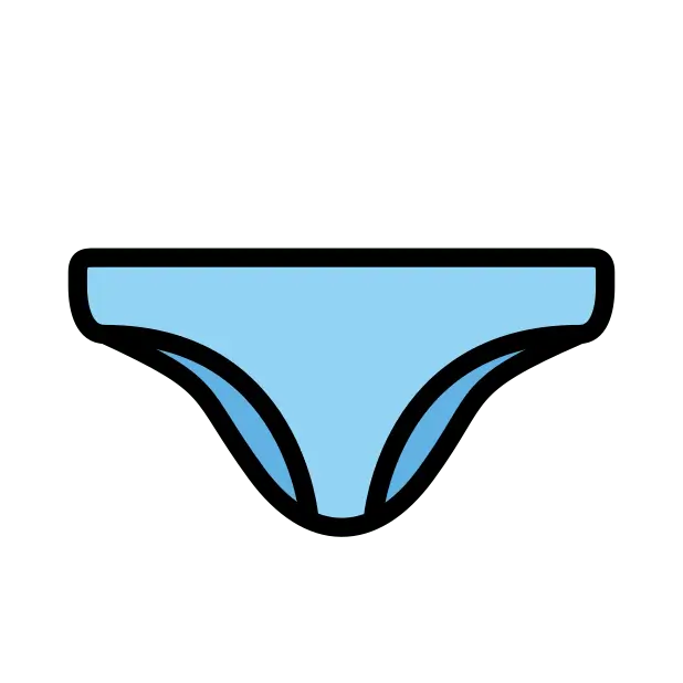 Briefs